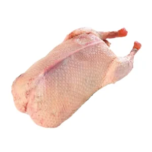 Halal Frozen Whole Duck